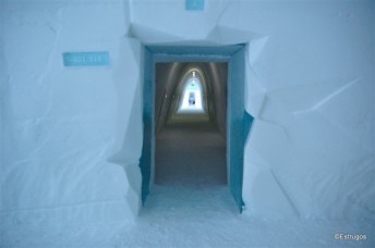 endoflife2-600-x-398