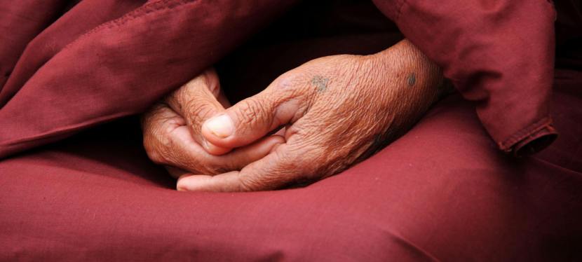 85-90 years (Wise&nbsp;Elder)