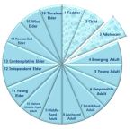 piechartadolescent2