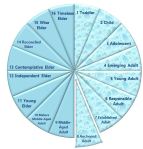 piechartanchoredadult2