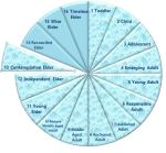 piechartcontemplativeelder2