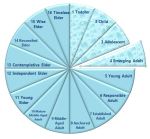 piechartemergingadult2