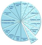 piechartestablishedadult2