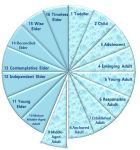 piechartmiddleagedadult2