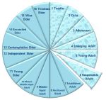 piechartresponsibleadult2