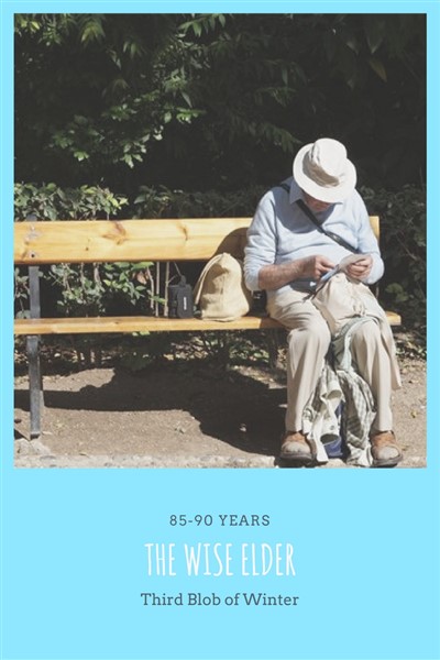 WiseElder_pin (400 x 600)